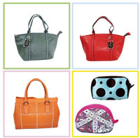 handbag_pouch